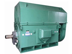 商南YKK系列高压电机品质保证